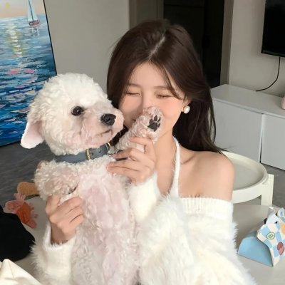 蛋黄哥大冒险
